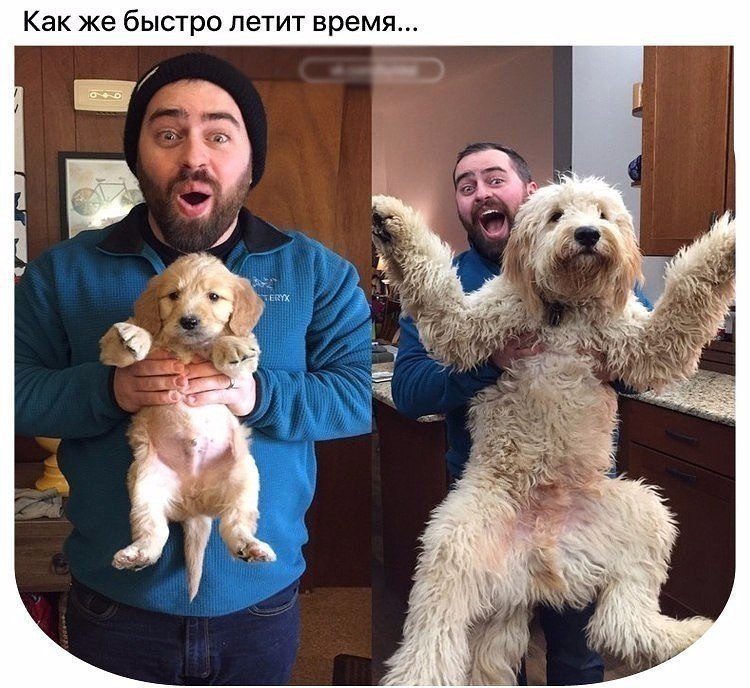 -   ??? -   . - 5