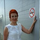 ���� �������, ������ - ��������� 1 ���� 2017 � ������ ���� ����������