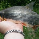 ���� ������, ����� ������, 58 ��� - ��������� 30 ���� 2017 � ������ ������ ������� 2017�