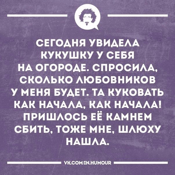   - 16  2017  04:20