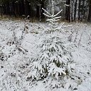 ���� ����, ������, 52 ���� - ��������� 3 ������ 2017 � ������ ������ ��������