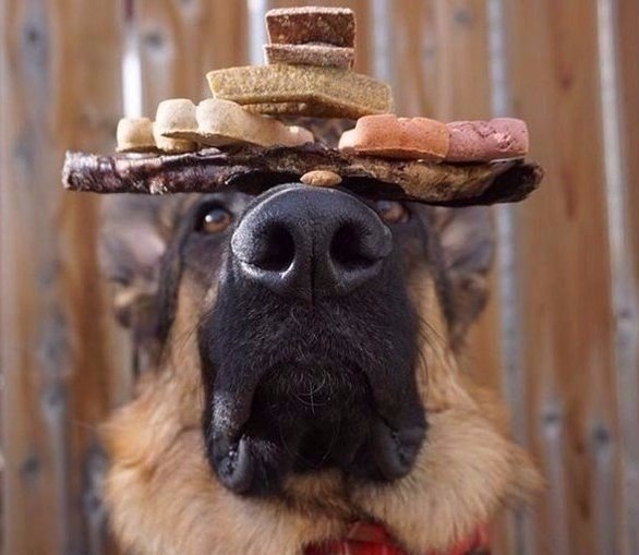 ���� - 23 �������� 2017 � 23:44 - 4