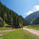 ���� ����, ������, 60 ��� - ��������� 13 ��� 2017 � ������ ���� ����������