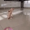 ���� ����, ������� - ��������� 27 ������� 2017 � ������ ������