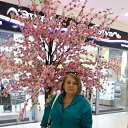 ���� ��������, ����� - ��������� 13 ���� 2017