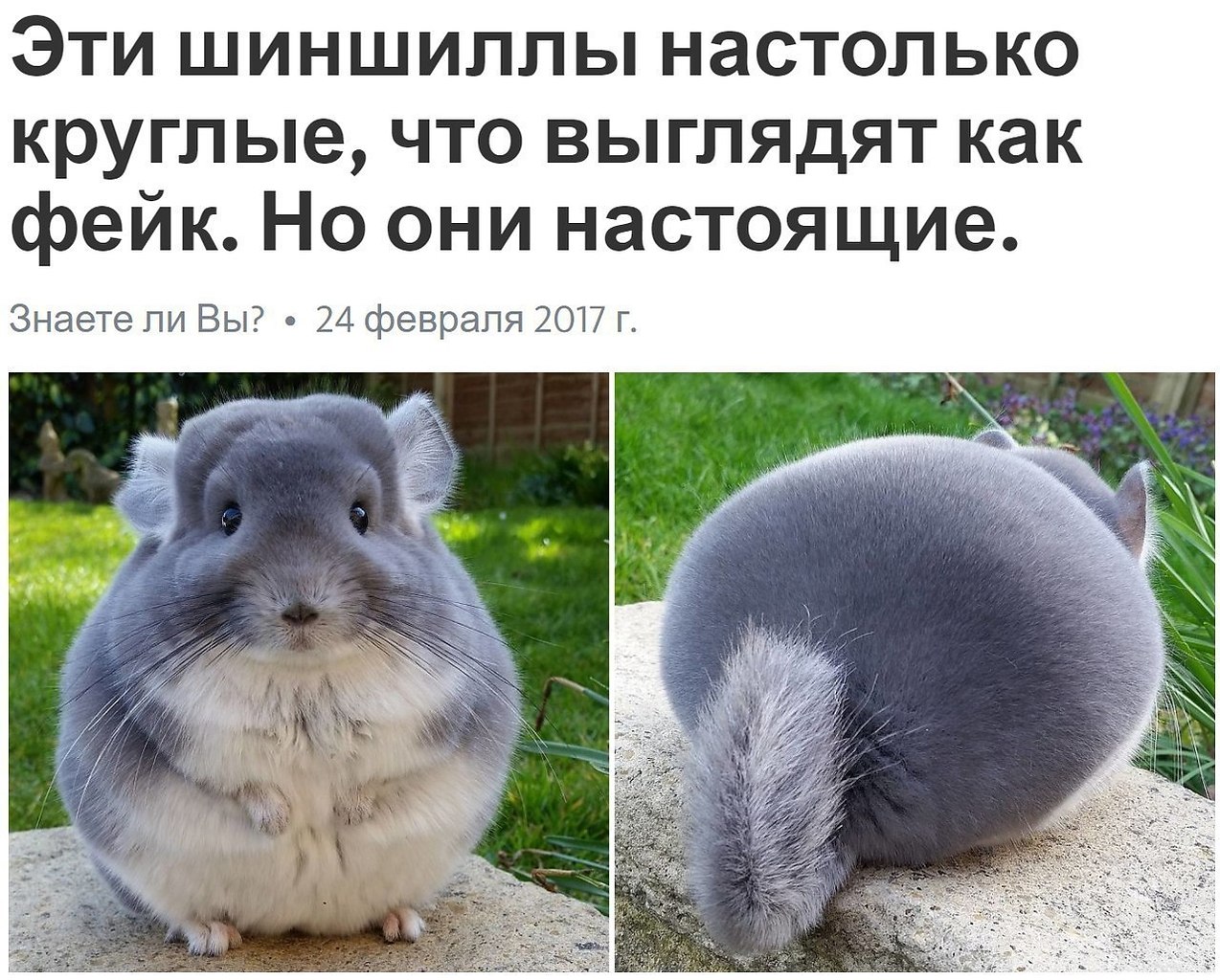  - 3  2017  03:32