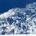  , -, 42  -  8  2017   , 2017 ()