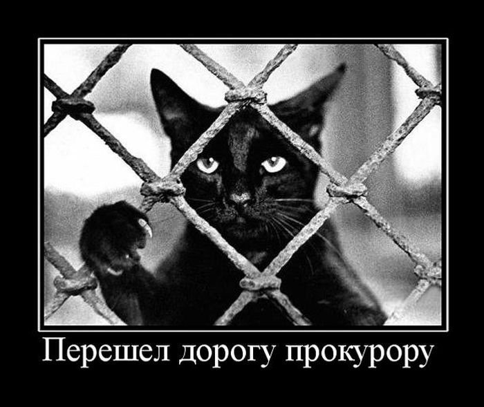  ...  !