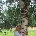 ���� ���������, �������, 68 ��� - ��������� 8 ������� 2017 � ������ ���� ����������