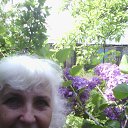 ��� �.����. 13.05.2017 �� ������� ���� ����������