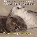 ���� ������, �����, 52 ���� - ��������� 21 �������� 2017 � ������ ���� ����������