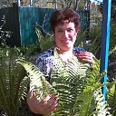 ���� �������, ����� - ��������� 11 ��� 2017 � ������ ���� ����������