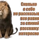 ���� ������, ���������, 50 ��� - ��������� 24 ������ 2017 � ������ ���� ����������