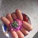 ���� ��������, ������������ - ��������� 24 ���� 2017 � ������ ������ ��������