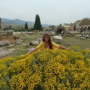 ���� �����, �������, 55 ��� - ��������� 8 ���� 2017