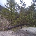 ���� ������, �������, 49 ��� - ��������� 8 ���� 2017 � ������ ���� ����������