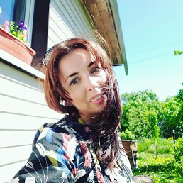 ����, �����-���������, 42 ����