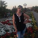 ���� ����������, �������������, 51 ��� - ��������� 8 ������� 2017 � ������ ���� ����������