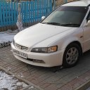 ���� Teloo, ���������, 46 ��� - ��������� 28 ������ 2017