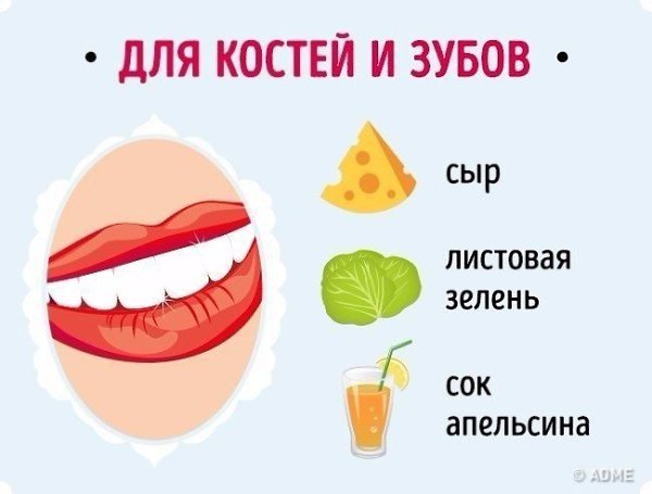 Записываем и запоминаем полезные продукты: - 5