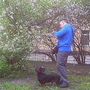  Dima, - -  25  2017   2017