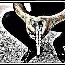 ���� �����, ������ - ��������� 6 ������� 2017 � ������ ���� ����������