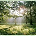 ���� Andrey, ������ - ��������� 20 ������ 2017 � ������ ������ ��������