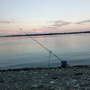 ���� ������, �����, 43 ���� - ��������� 26 ���� 2017 � ������ ���� ����������