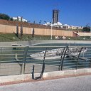 ���� Leon, ������, 38 ��� - ��������� 23 ������� 2017 � ������ �Israel�