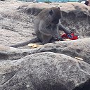 ���� �������, ���������, 46 ��� - ��������� 19 ������� 2017 � ������ ����������