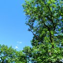 ���� ����, ���� - ��������� 31 ���� 2017 � ������ ������ ��������