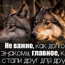  , -, 58  -  22  2017    