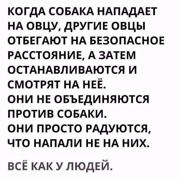   -  ,  -  - 30  2017  23:30
