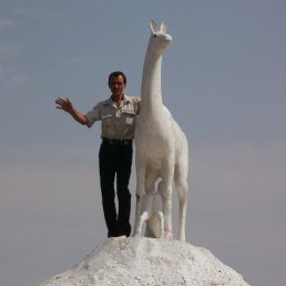 ���� ���������, ����������� - ��������� 18 ������ 2017