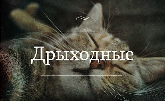 ***Victoria Viktorovna*** - 17  2017  02:42