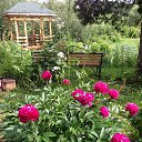 ���� Natalya, �����������, 44 ���� - ��������� 22 ������� 2017 � ������ ���� ����������