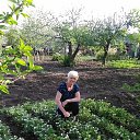 ���� ����, ������ - ��������� 8 ��� 2017 � ������ ���������� ������