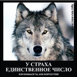 ���� ������, �������, 48 ��� - ��������� 22 ������ 2017
