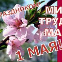 ���� ����, ��������, 37 ��� - ��������� 1 ��� 2017 � ������ ������ ��������