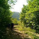 ���� ���������, ��������, 65 ��� - ��������� 15 ��� 2017 � ������ ������ ������-��� 2017�