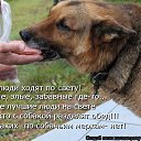 ���� Inga, ������ - ��������� 13 �������� 2017 � ������ �!!!�