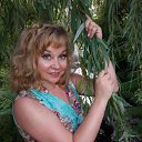 ���� ��������, ���������, 55 ��� - ��������� 27 ������� 2017 � ������ ���� ����������