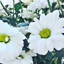 ���� ������, ����� - ��������� 17 ������ 2017 � ������ ���� ����������