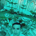 ���� Shera, ������, 31 ��� - ��������� 24 �������� 2017