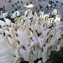 ���� ������, ��������, 50 ��� - ��������� 9 �������� 2017 � ������ ������ ��������