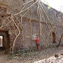  ,  -  11  2017    2017