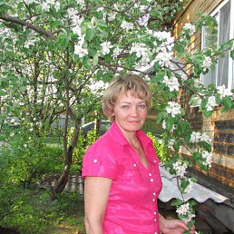 �������, ������, 56 ���