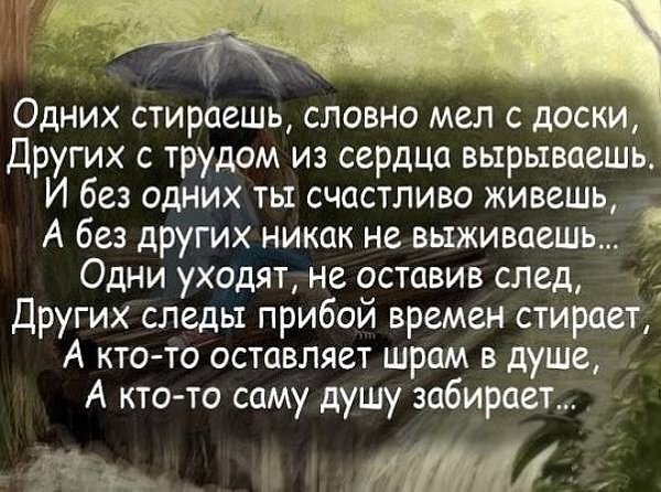 Стоит ли любить, если есть вероятность измен и предательств….Стоит ли открывать сердце, доверять ...