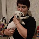 ���� ��������, ���������, 49 ��� - ��������� 6 ������� 2017 � ������ ���� ����������