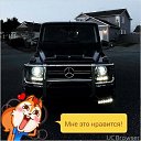 ���� �������, ����������, 47 ��� - ��������� 23 ������� 2017 � ������ ���� ����������